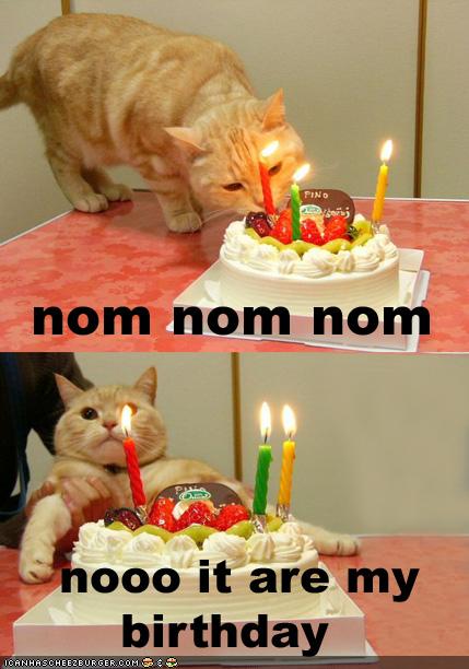 funny birthday wish. Funny Birthday Wishes: